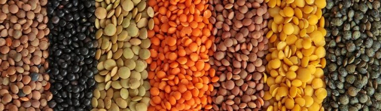 Pulses